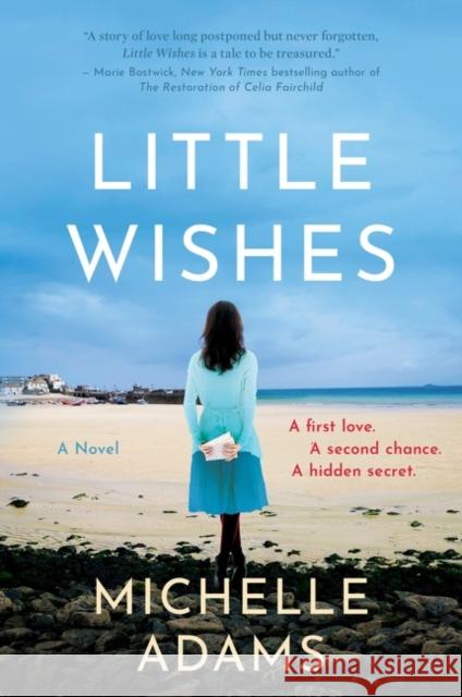 Little Wishes Michelle Adams 9780063019577 William Morrow & Company