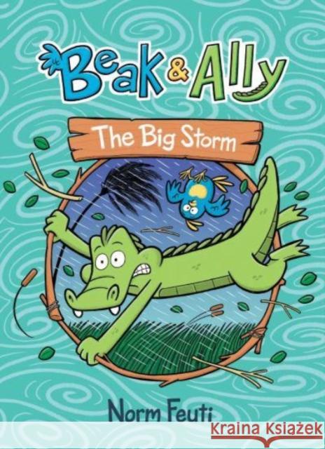 Beak & Ally #3: The Big Storm Norm Feuti 9780063021648