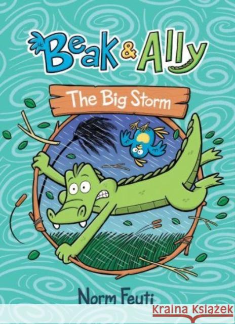 Beak & Ally #3: The Big Storm: A Graphic Novel Norm Feuti 9780063021648