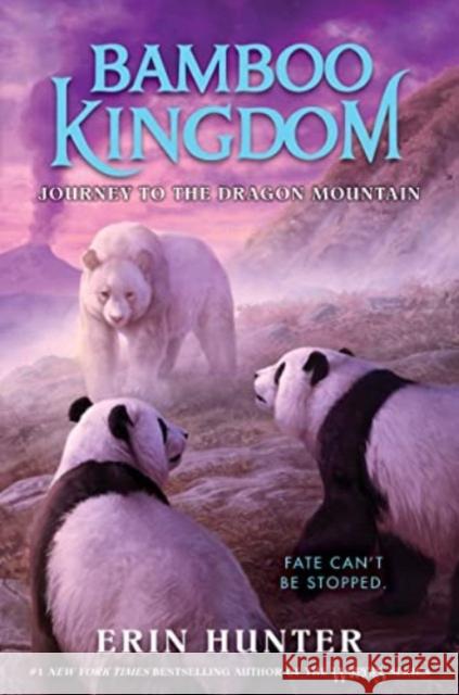 Bamboo Kingdom #3: Journey to the Dragon Mountain Erin Hunter 9780063022041 HarperCollins