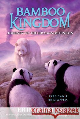 Bamboo Kingdom #3: Journey to the Dragon Mountain Erin Hunter 9780063022065 HarperCollins