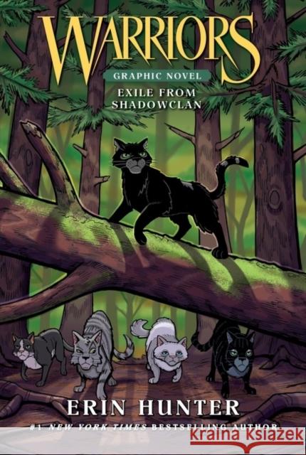 Warriors: Exile from ShadowClan (Full-Color Adventure) Erin Hunter 9780063043268