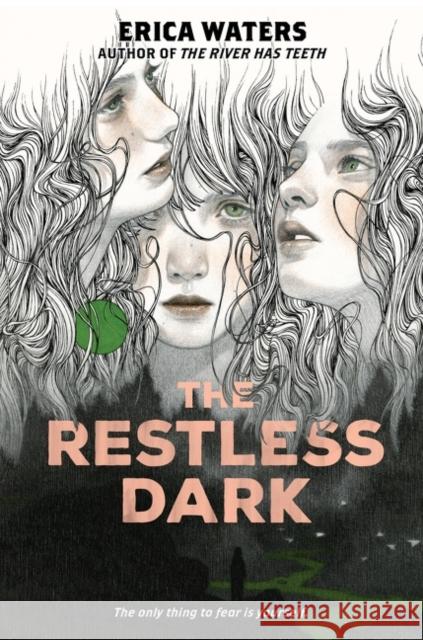 The Restless Dark Erica Waters 9780063115903