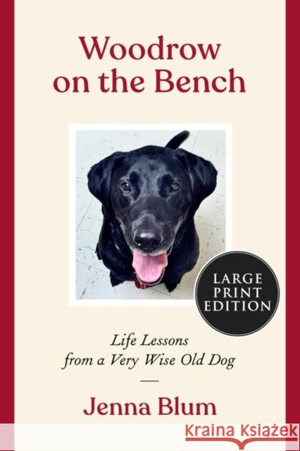 Woodrow on the Bench: Life Lessons from a Wise Old Dog Jenna Blum 9780063119031 HarperCollins