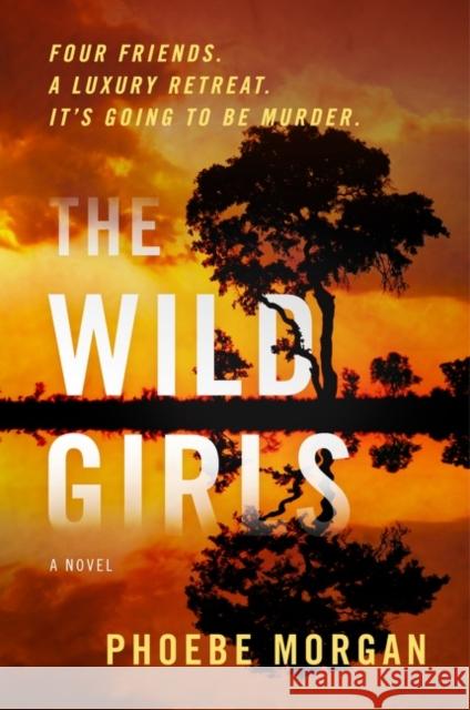 The Wild Girls Phoebe Morgan 9780063144835