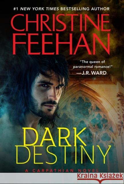 Dark Destiny Christine Feehan 9780063161429 Avon Books