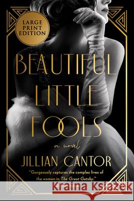 Beautiful Little Fools Jillian Cantor 9780063211032 HarperLuxe