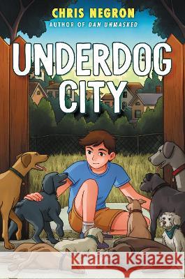 Underdog City Chris Negron 9780063251878 HarperCollins