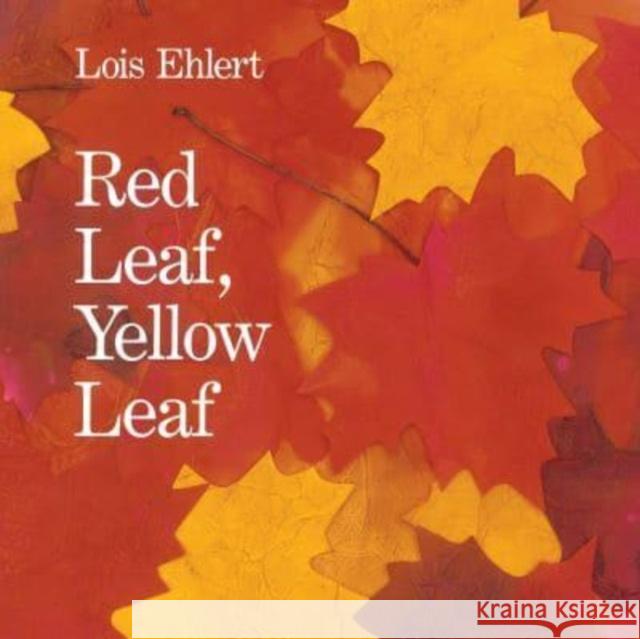 Red Leaf, Yellow Leaf Lois Ehlert 9780063286702 HarperCollins Publishers Inc