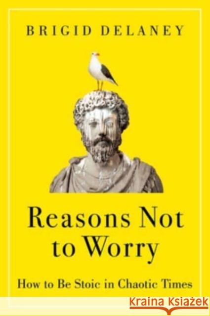 Reasons Not to Worry: How to Be Stoic in Chaotic Times Brigid Delaney 9780063314825