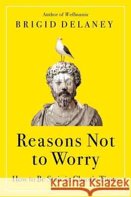 Reasons Not to Worry: How to Be Stoic in Chaotic Times Brigid Delaney 9780063314832 Harper Perennial