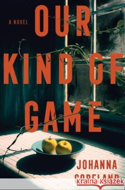 Our Kind of Game: A Novel Johanna Copeland 9780063329683 HarperCollins Publishers Inc