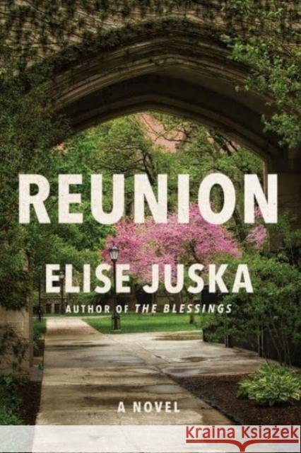 Reunion: A Novel Elise Juska 9780063346765 HarperCollins Publishers Inc