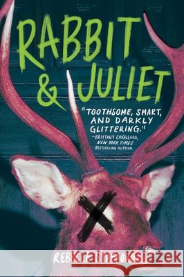Rabbit & Juliet Rebecca Stafford 9780063351370