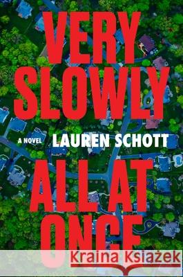 Very Slowly All at Once Lauren Schott 9780063432710
