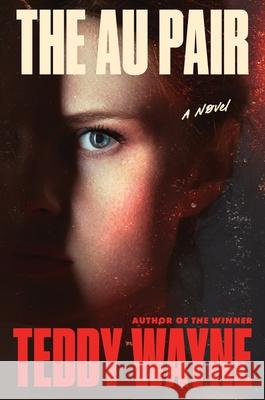 The Au Pair Teddy Wayne 9780063457232