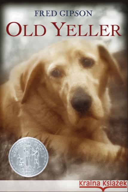 Old Yeller Fred Gipson 9780064403825 HarperTrophy