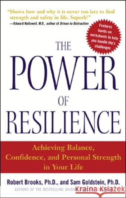 The Power of Resilience: Achieving Balance, Confidence, and Personal Strength in Your Life Brooks, Robert 9780071431989