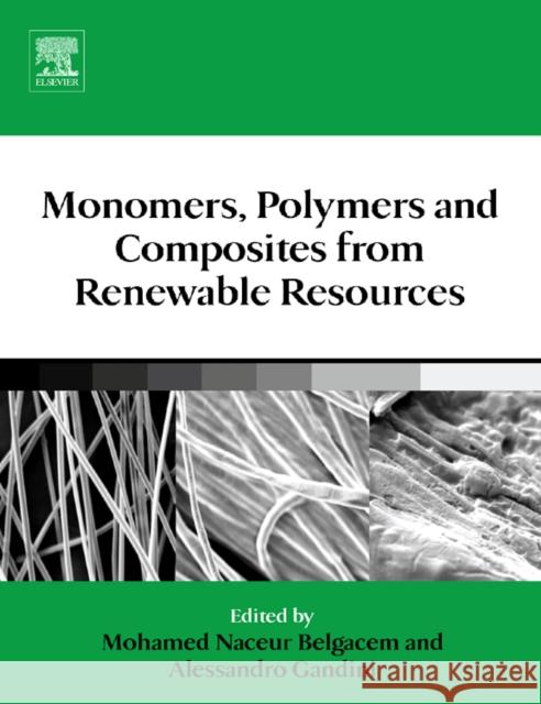Monomers, Polymers and Composites from Renewable Resources Mohamed Naceur Belgacem Alessandro Gandini 9780080453163 Elsevier Science