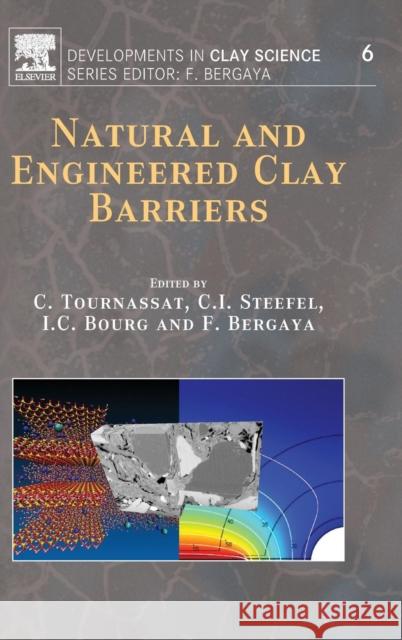 Natural and Engineered Clay Barriers: Volume 6 Tournassat, Christophe 9780081000274 Elsevier Science