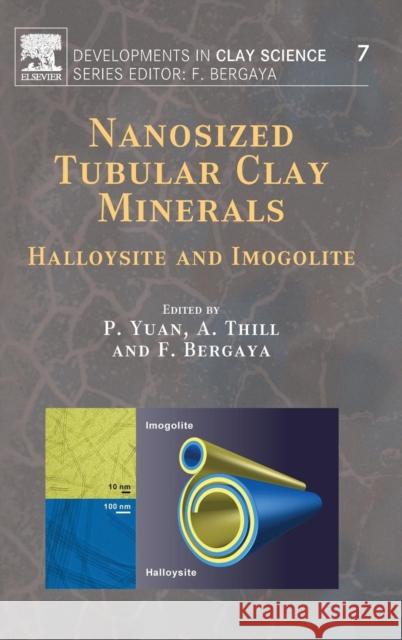 Nanosized Tubular Clay Minerals: Halloysite and Imogolite Volume 7 Yuan, Peng 9780081002933
