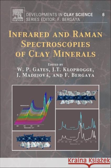 Infrared and Raman Spectroscopies of Clay Minerals: Volume 8 Gates, Will 9780081003558