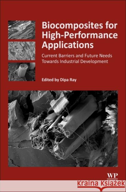 Biocomposites for High-Performance Applications: Current Barriers and Future Needs Towards Industrial Development Dipa Ray 9780081007938