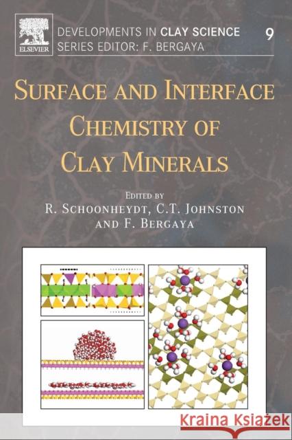 Surface and Interface Chemistry of Clay Minerals: Volume 9 Schoonheydt, Robert 9780081024324 Elsevier