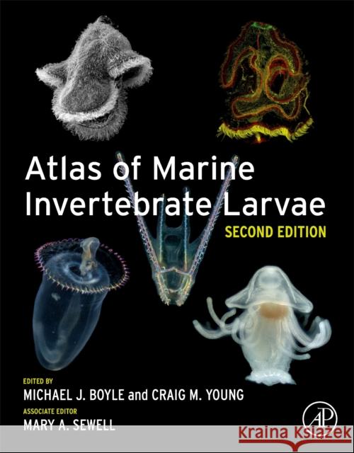 Atlas of Marine Invertebrate Larvae Craig M. Young Mary A. Sewell Michael Boyle 9780081028711