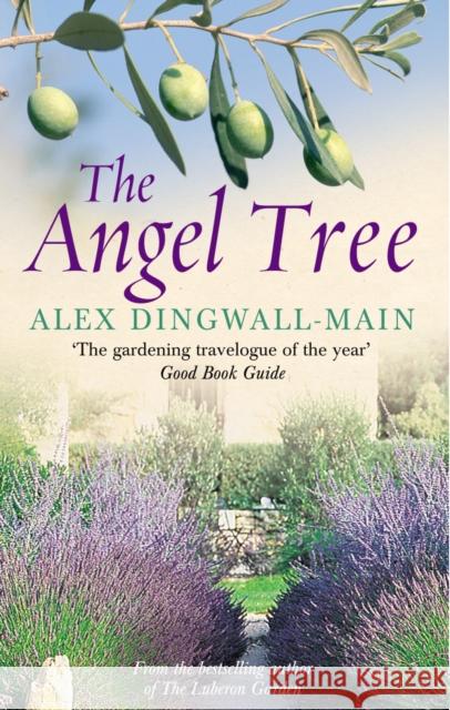 The Angel Tree Alex Dingwall-Main 9780091895471 EBURY PRESS