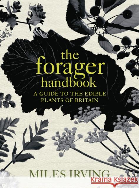 The Forager Handbook: A Guide to the Edible Plants of Britain Miles Irving 9780091913632