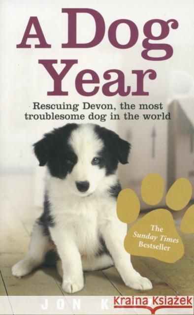 A Dog Year : Rescuing Devon, the most troublesome dog in the world Jon Katz 9780091925291 EBURY PRESS