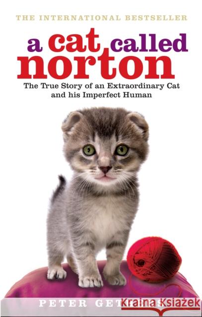 A Cat Called Norton Peter Gethers 9780091933296