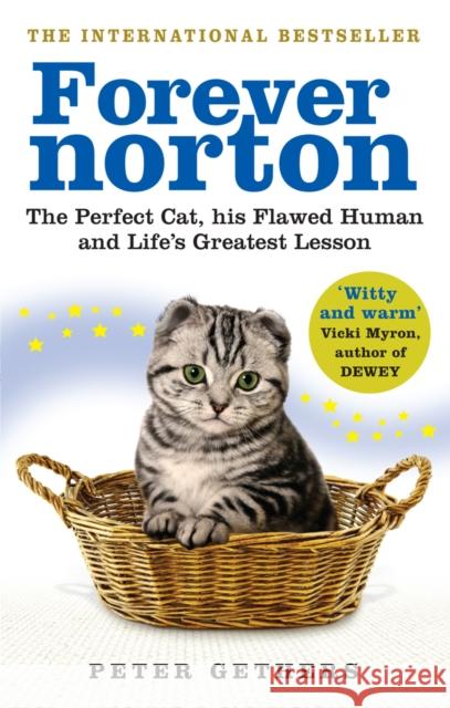 Forever Norton : The Perfect Cat, his Flawed Human and Life's Greatest Lesson Peter Gethers 9780091933302 0