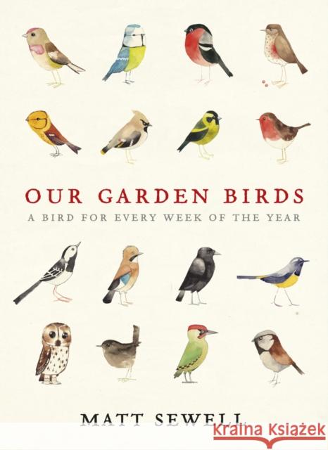 Our Garden Birds: a stunning illustrated guide to the birdlife of the British Isles Matt Sewell 9780091945008