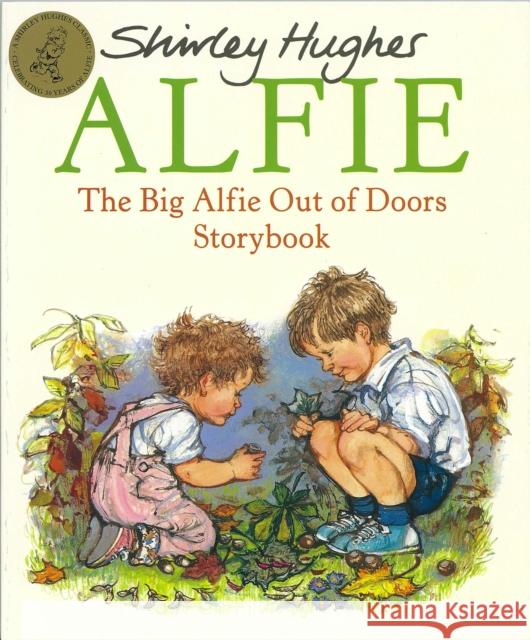 The Big Alfie Out Of Doors Storybook Shirley Hughes 9780099258919 Penguin Random House Children's UK