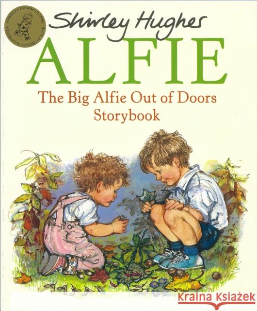 The Big Alfie Out Of Doors Storybook Shirley Hughes 9780099258919