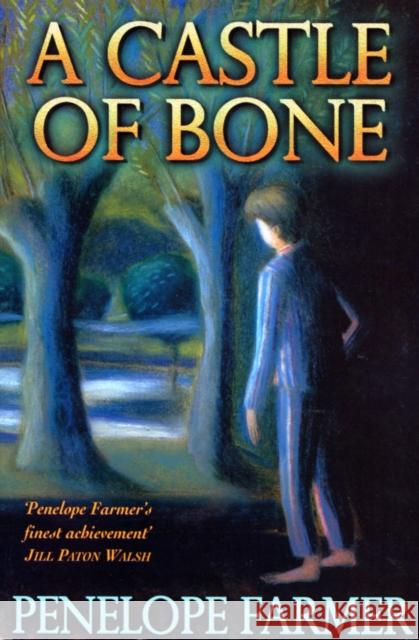 A Castle Of Bone Penelope Farmer 9780099267188 RANDOM HOUSE CHILDREN'S BOOKS