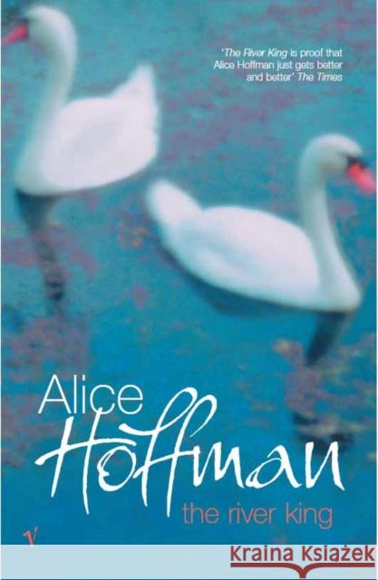 The River King Alice Hoffman 9780099286523