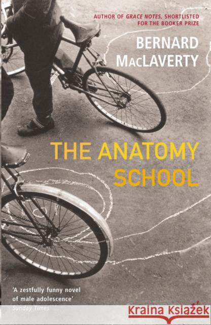 The Anatomy School Bernard Maclaverty 9780099428466