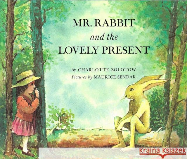 Mr Rabbit And The Lovely Present Charlotte Zolotow 9780099432951