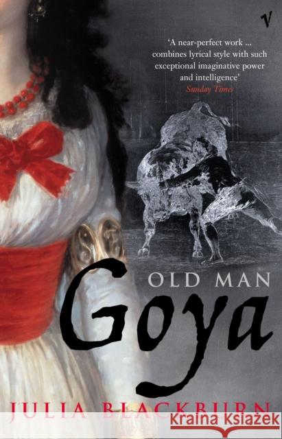 Old Man Goya Julia Blackburn 9780099437253 Vintage Publishing