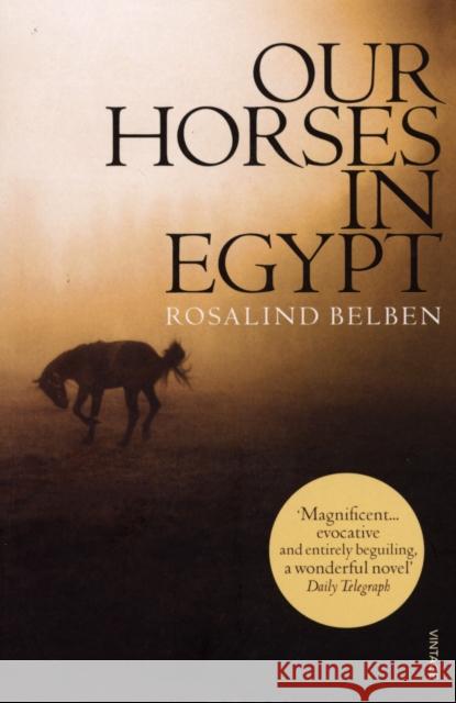 Our Horses in Egypt Rosalind Belben 9780099458968