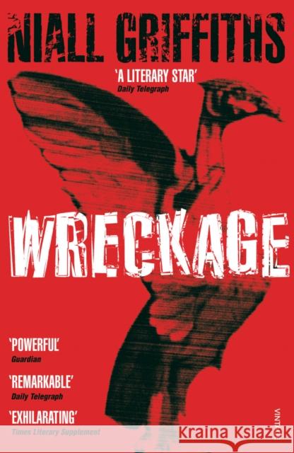Wreckage Niall Griffiths 9780099461135
