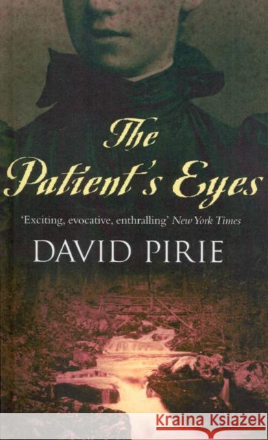 The Patient's Eyes David Pirie 9780099478782