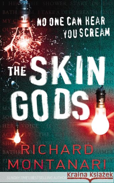 The Skin Gods : (Byrne & Balzano 2) Richard Montanari 9780099486893