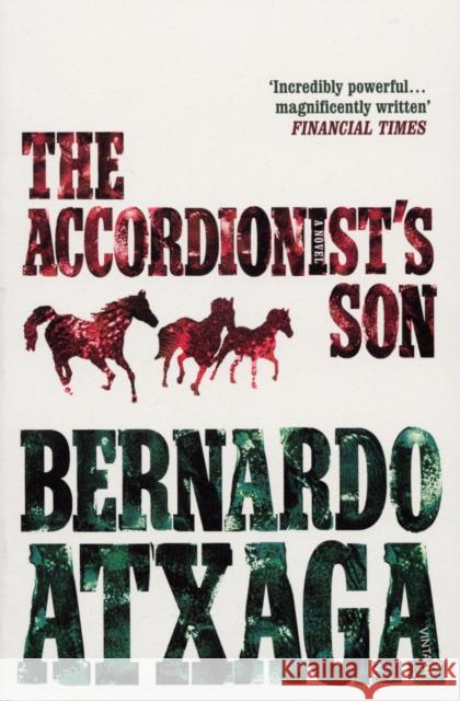 The Accordionist's Son Bernardo Atxaga 9780099492771