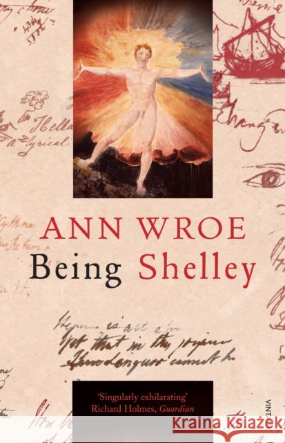 Being Shelley : The Poet's Search for Himself Ann Wroe 9780099507895 VINTAGE