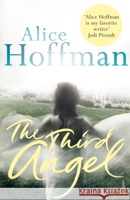 The Third Angel Alice Hoffman 9780099523499 0