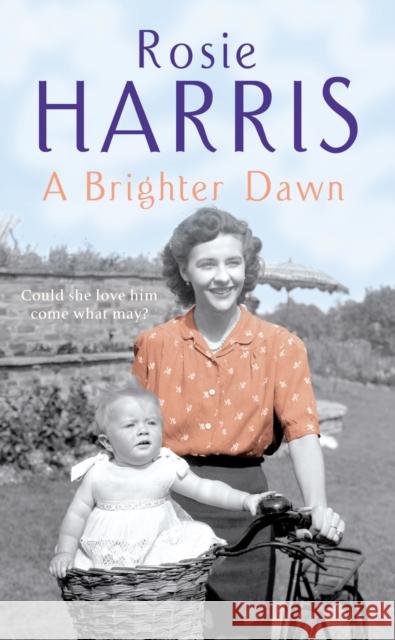 A Brighter Dawn : A Cardiff Family Saga Rosie Harris 9780099527480